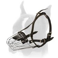 Wire Cage Muzzle for Boxer with Ample Cage Space  Wire Cage Muzzle for Boxer with Ample Cage Space