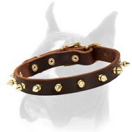 Boxer Leather Spiked Dog Collar for easy handling  Boxer Leather Spiked Dog Collar for easy handling