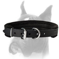 Designer Leather Boxer 【Muzzle】 with Studs and Spikes : Boxer Breed: Dog  harness, Boxer dog muzzle, Boxer dog collar