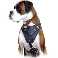 Agitation / Attack Leather Dog Harness Perfect For your Boxer  Agitation / Attack Leather Dog Harness Perfect For your Boxer