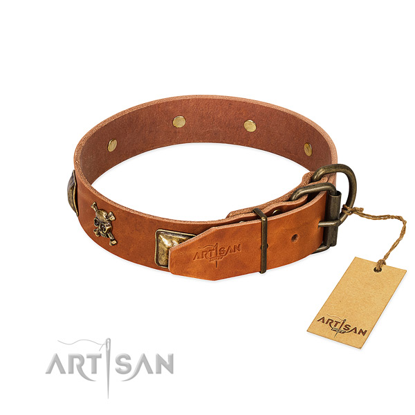 Stunning natural leather dog collar with corrosion resistant embellishments