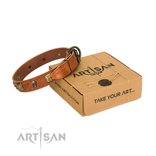 Stylish design leather dog collar with rust resistant decorations