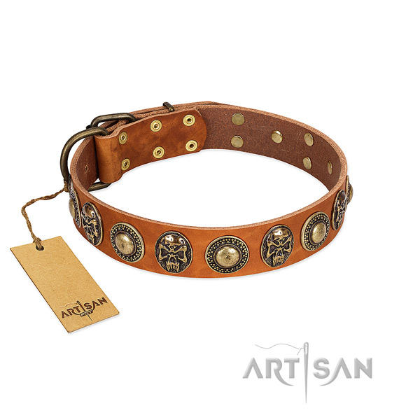 Easy to adjust full grain genuine leather dog collar for everyday walking your doggie