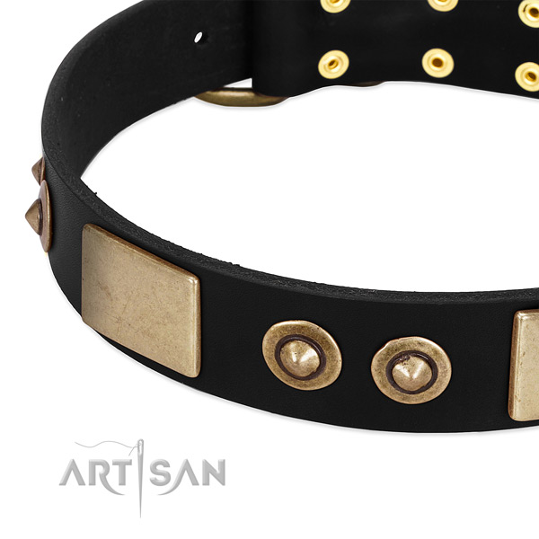 Durable fittings on leather dog collar for your doggie