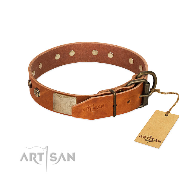 Rust-proof traditional buckle on handy use dog collar