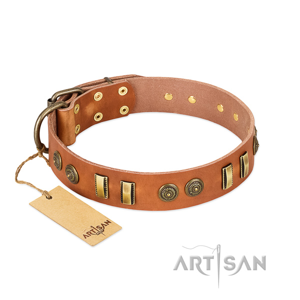 Durable hardware on leather dog collar for your pet