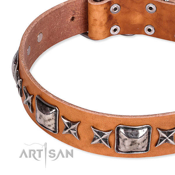 Everyday use embellished dog collar of finest quality full grain natural leather