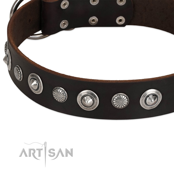 Inimitable studded dog collar of durable natural leather