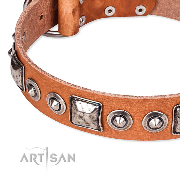 Strong natural genuine leather dog collar made for your stylish four-legged friend