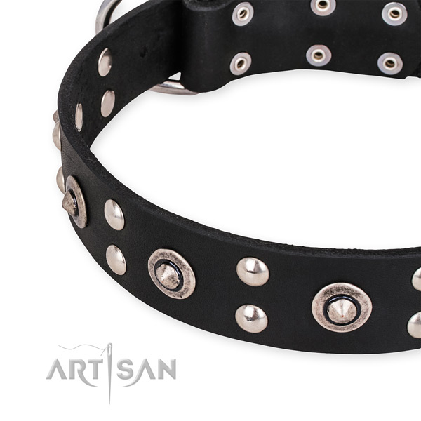 Leather collar with rust-proof fittings for your impressive doggie