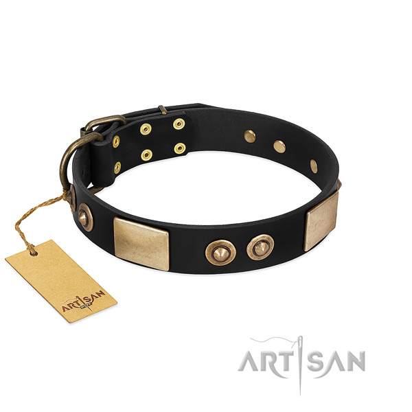 Adjustable full grain leather dog collar for stylish walking your dog