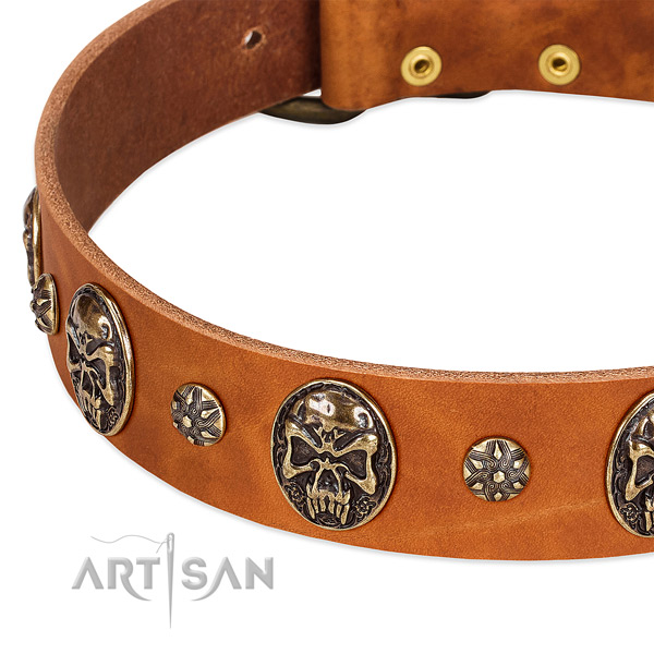 Strong decorations on full grain leather dog collar for your dog