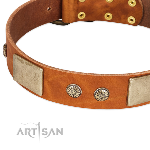 Strong embellishments on full grain natural leather dog collar for your doggie