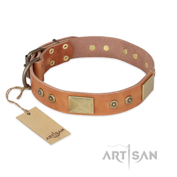 Stylish design full grain leather dog collar for everyday walking