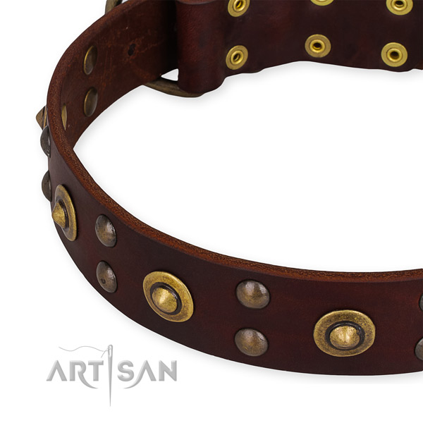 Full grain genuine leather collar with durable hardware for your handsome four-legged friend