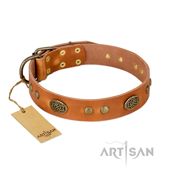 Corrosion proof adornments on Genuine leather dog collar for your four-legged friend