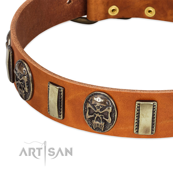 Reliable studs on full grain leather dog collar for your dog