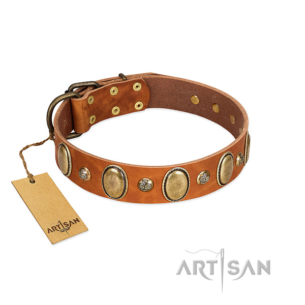 Full grain leather dog collar of soft to touch material with unique embellishments