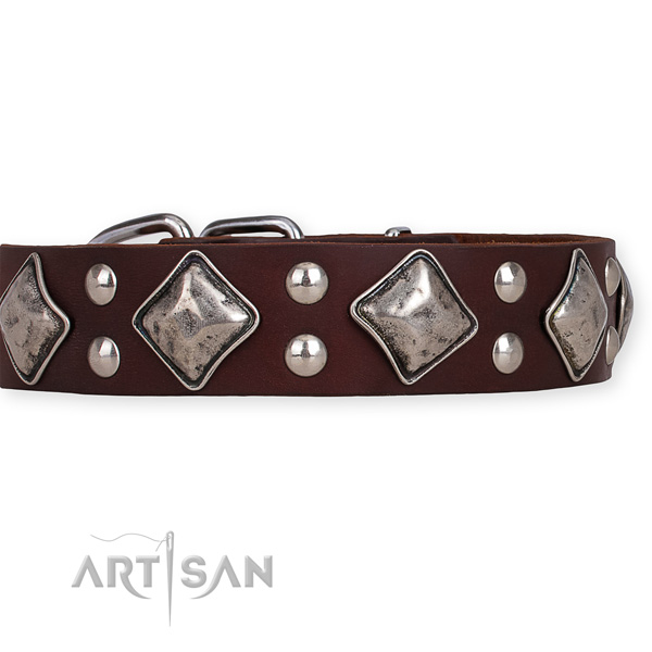 Full grain natural leather dog collar with exceptional reliable studs