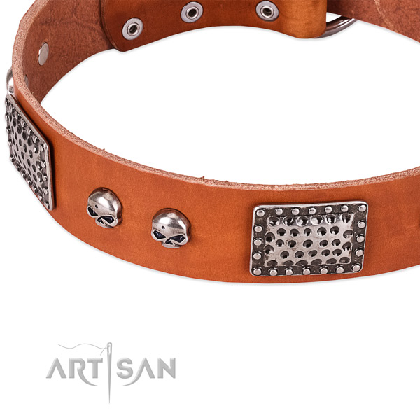 Strong studs on genuine leather dog collar for your doggie