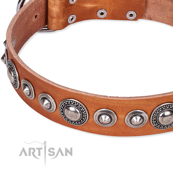 Comfortable wearing decorated dog collar of reliable full grain genuine leather