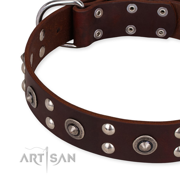Full grain genuine leather collar with rust resistant D-ring for your handsome pet