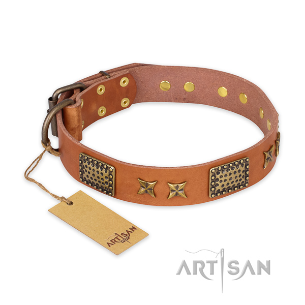 Fashionable genuine leather dog collar with reliable fittings