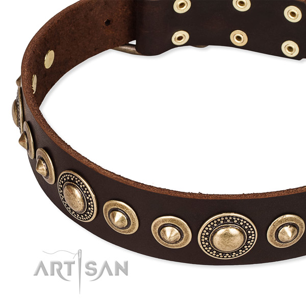 High quality leather dog collar handmade for your attractive canine