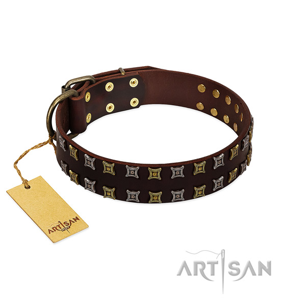 Gentle to touch full grain natural leather dog collar with adornments for your dog