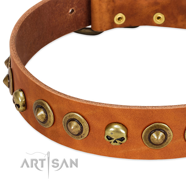 Exceptional embellishments on full grain genuine leather collar for your doggie