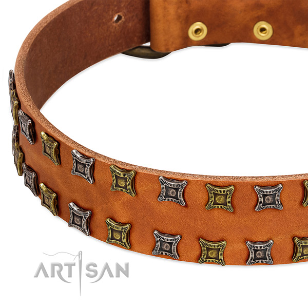 Quality genuine leather dog collar for your impressive doggie