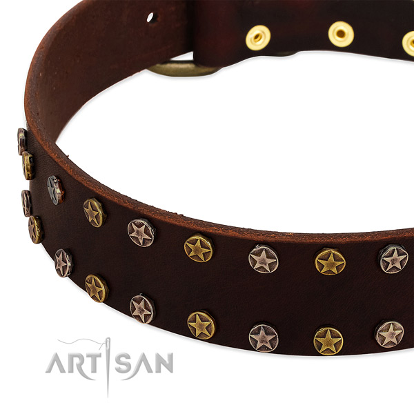 Daily walking full grain leather dog collar with exceptional adornments