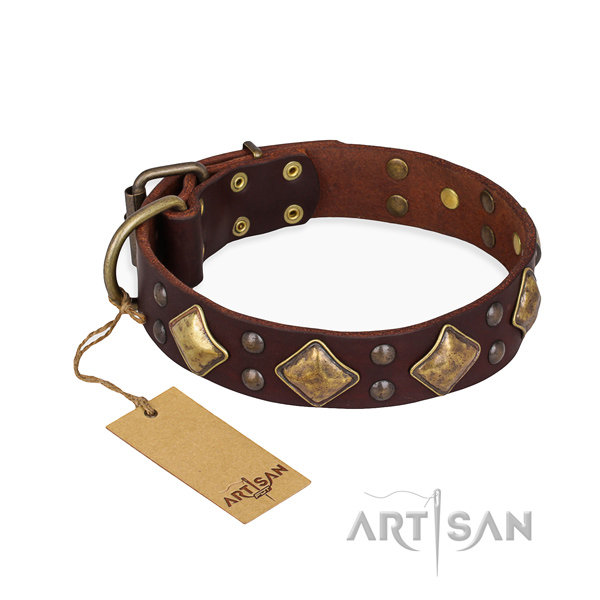 Stylish walking exquisite dog collar with rust-proof hardware