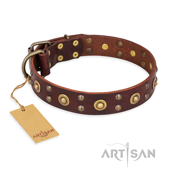 Adorned full grain genuine leather dog collar with rust resistant D-ring