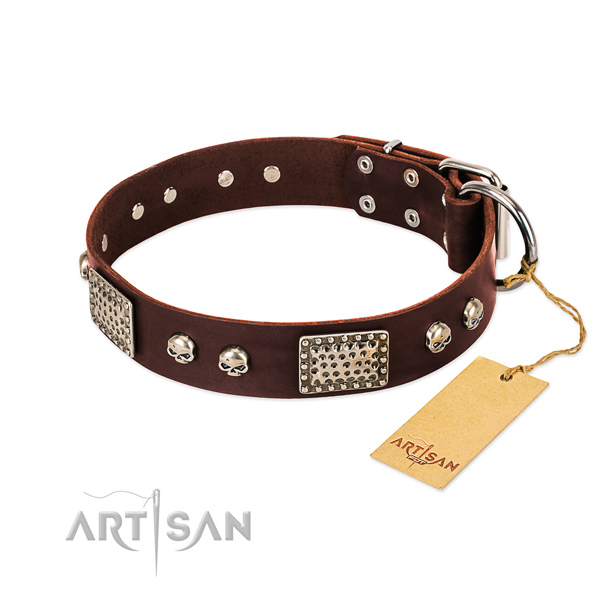 Adjustable full grain leather dog collar for daily walking your dog