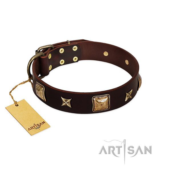 Inimitable full grain natural leather collar for your four-legged friend