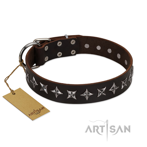 Everyday use dog collar of quality full grain leather with embellishments