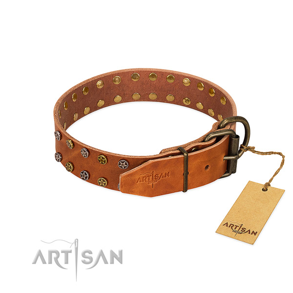 Stylish walking full grain leather dog collar with inimitable studs