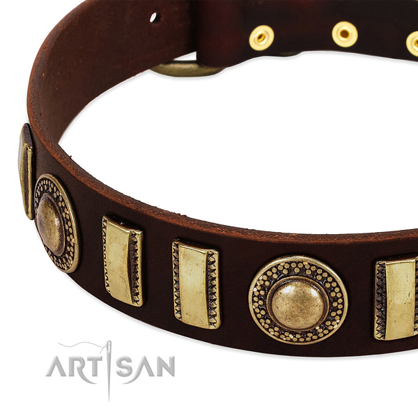 Top notch full grain natural leather dog collar with durable hardware