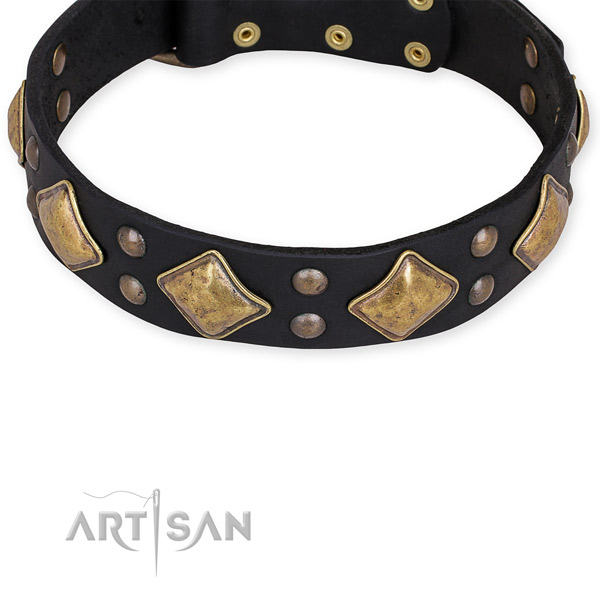 Leather dog collar with fashionable rust-proof adornments