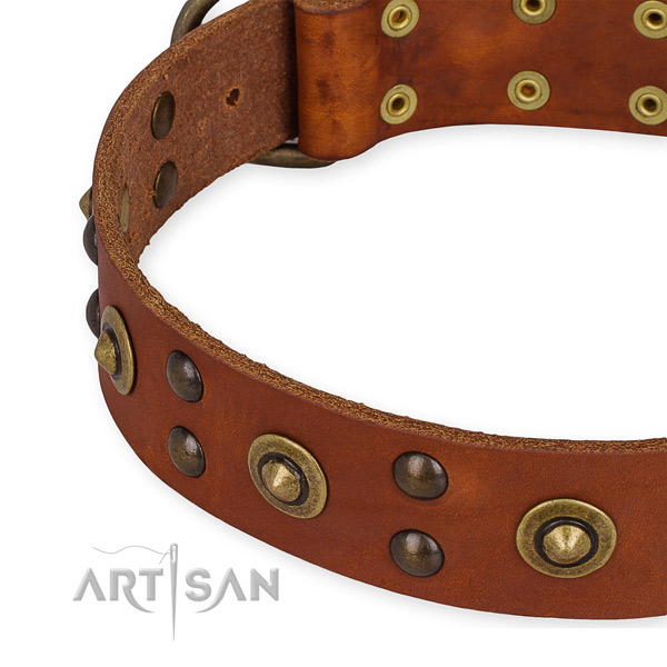 Genuine leather collar with rust resistant D-ring for your impressive four-legged friend