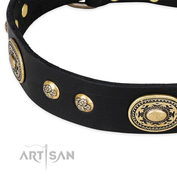 Adorned full grain genuine leather collar for your beautiful pet