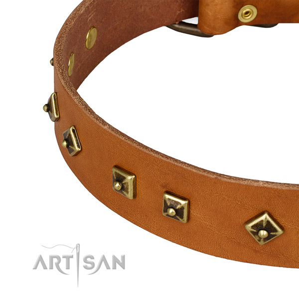 Remarkable full grain natural leather collar for your stylish dog