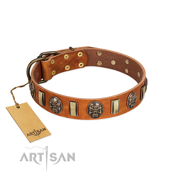Top notch leather dog collar for walking