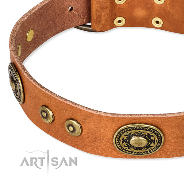 Full grain genuine leather dog collar made of reliable material with studs