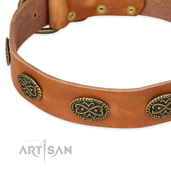 Designer full grain leather collar for your stylish four-legged friend