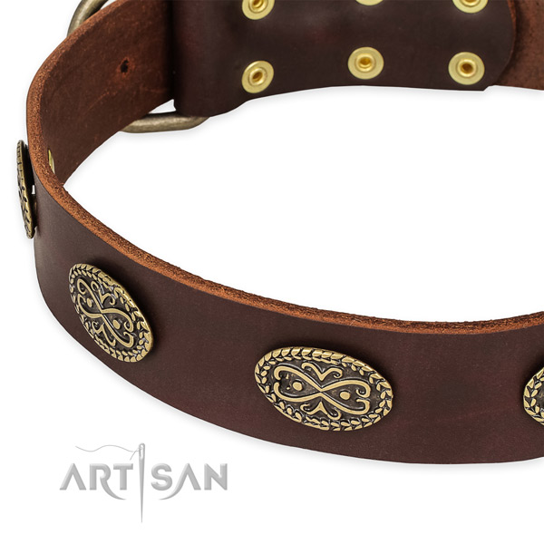 Significant full grain genuine leather collar for your stylish pet