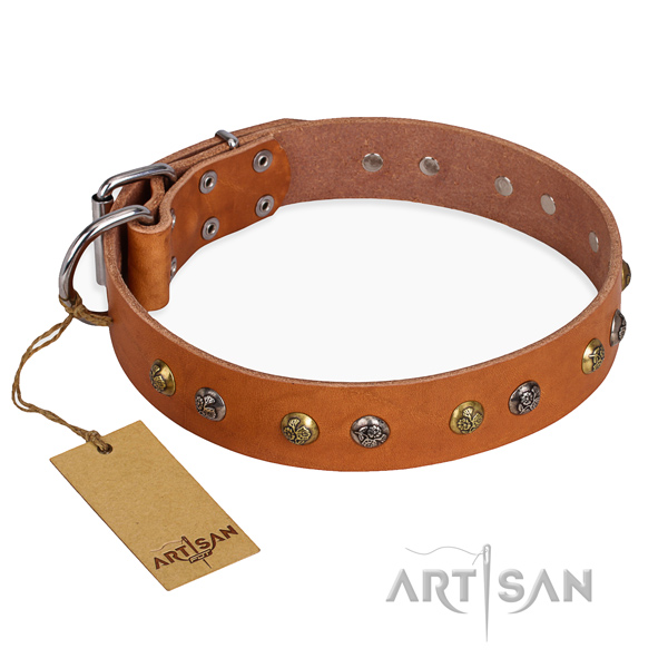 Walking easy wearing dog collar with durable buckle