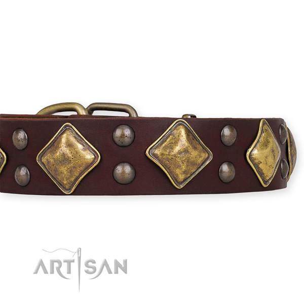 Natural leather dog collar with stunning corrosion proof embellishments