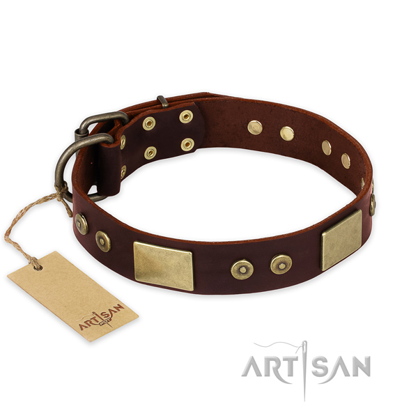 Significant full grain natural leather dog collar for daily use